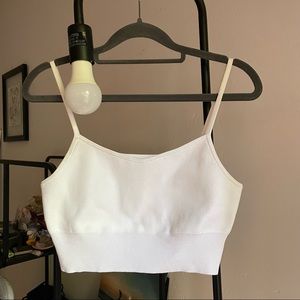 Aritzia Babaton Kenneth Knit Top